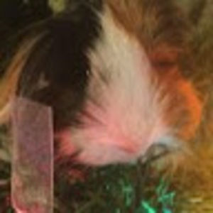 Meet your Posher, Aj